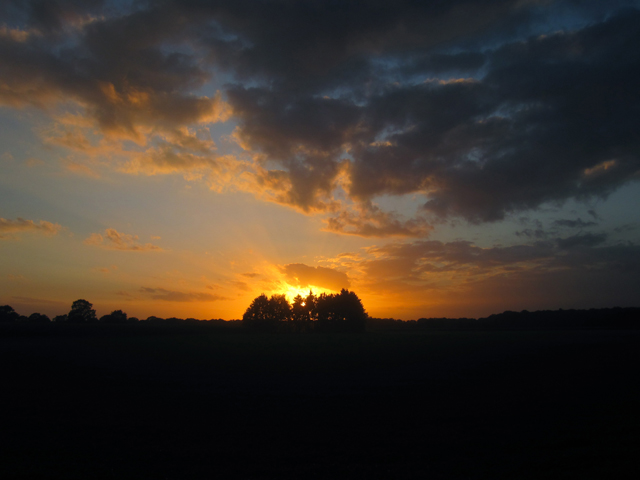 110913_hohe-mark