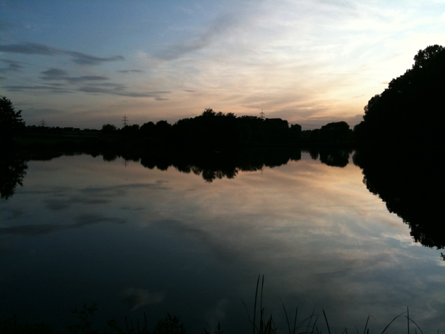 ER_2009_0298