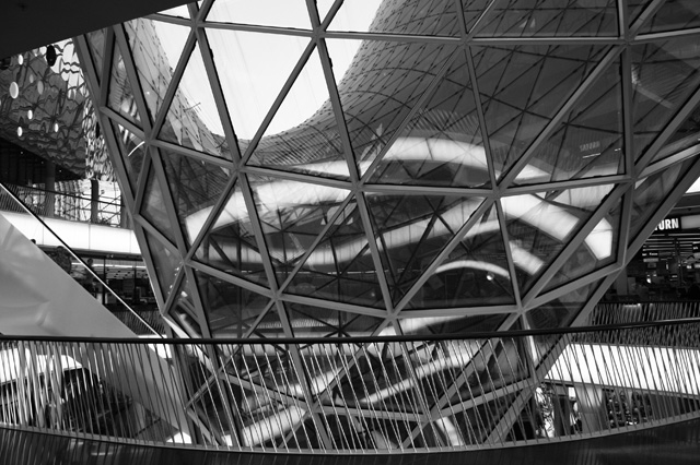 ffm_2011_8350